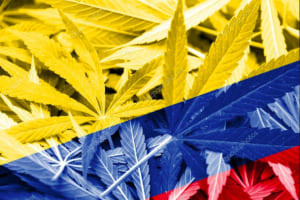 colombia-marihuana-cannabis